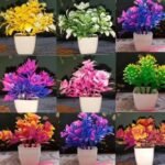 Flowers Pot